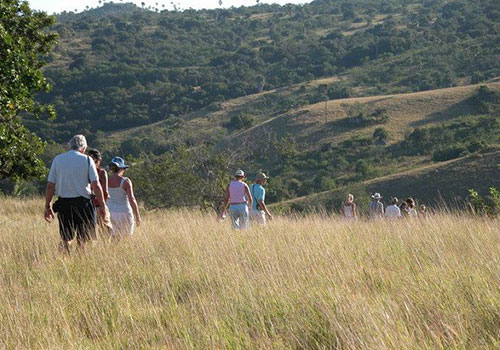 Trekking at Komodo Island