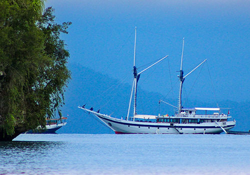 World Best Diving Site