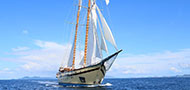 The Lamima Liveaboard - Komodo Island